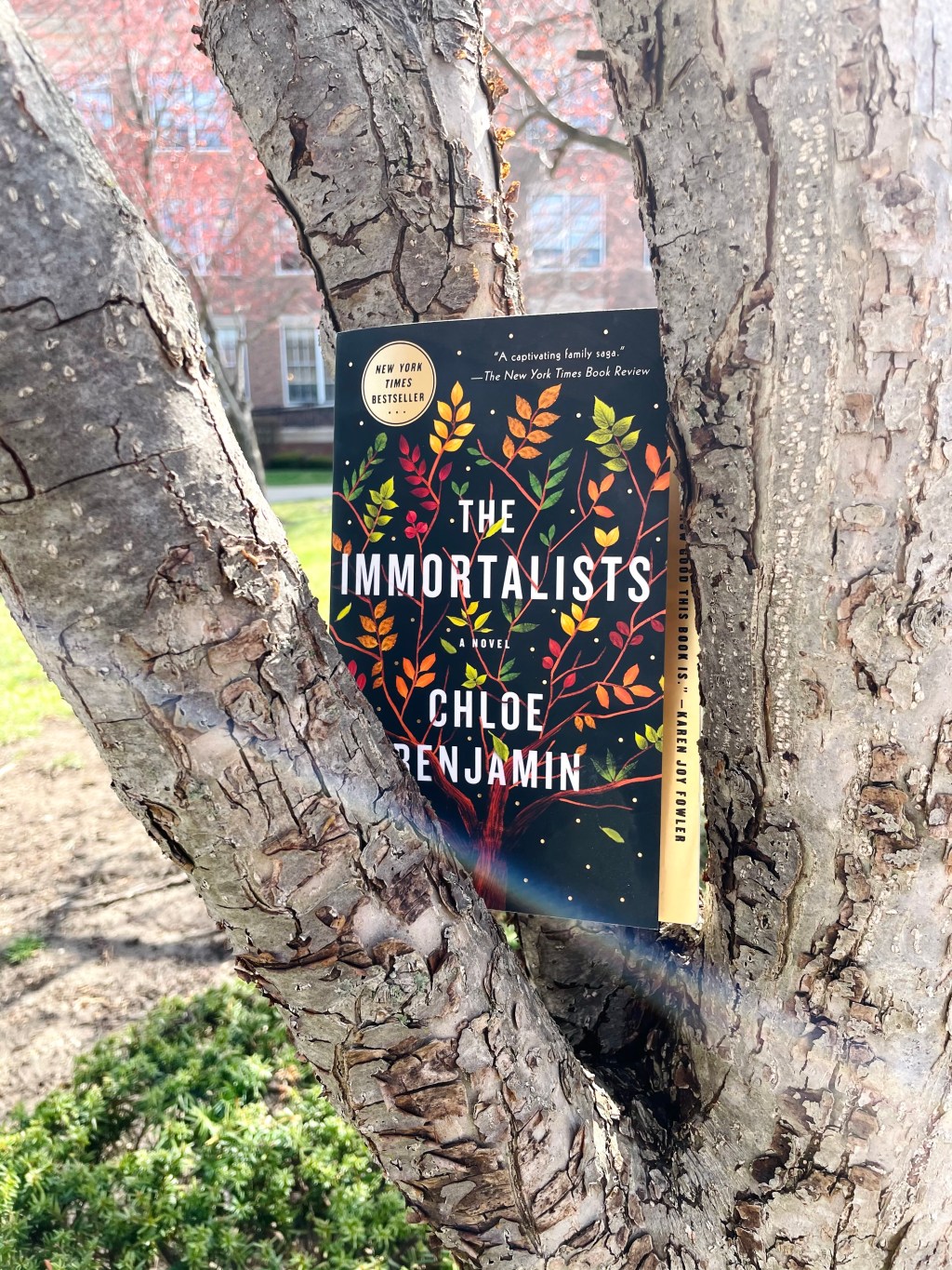 The Immortalists Face the Truths of&nbsp;Mortality